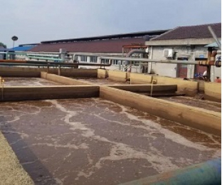 出水氨氮大于進水氨氮，怎么回事？